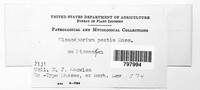 Gloeosporium pestis image